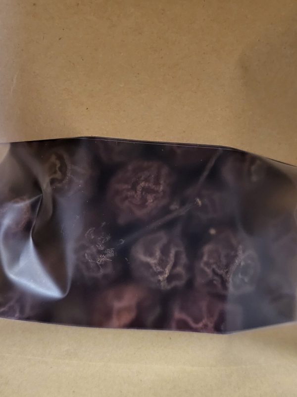 Kuivatatud Metsik pirn 3